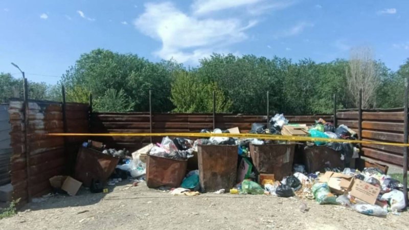 Қоқыс жәшігінен табылған сәби: Жамбыл облысында күдікті әйел анықталды