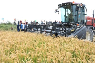 «ДАЛА КҮНІ – 2026»: ЖАЛАҒАШТА КҮРІШКЕ АЛҒАШҚЫ ОРАҚ ТҮСТІ